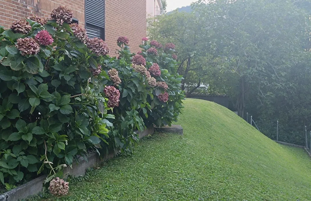 Da Gianfi Lugano-Pregassona - Stanza Privata (Adults Only)-1